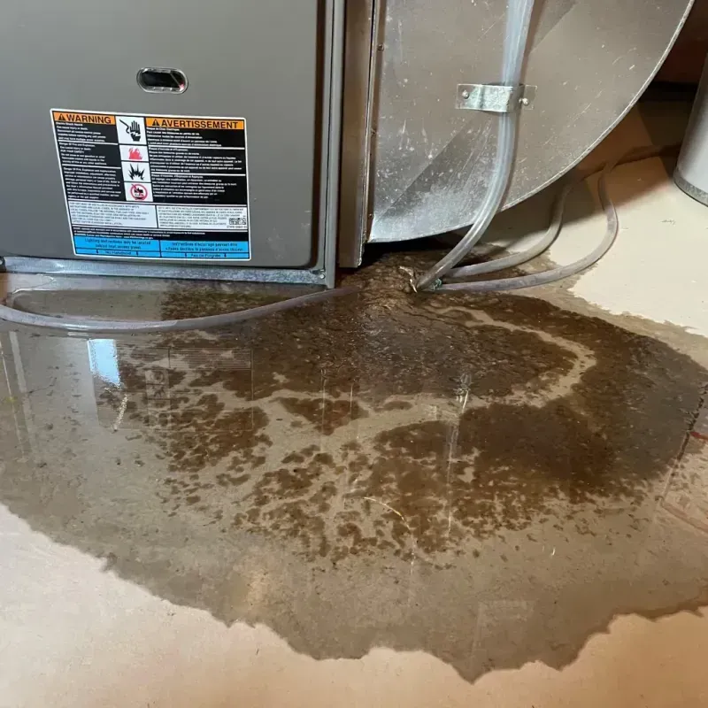 Appliance Leak Cleanup in Quail Creek, TX